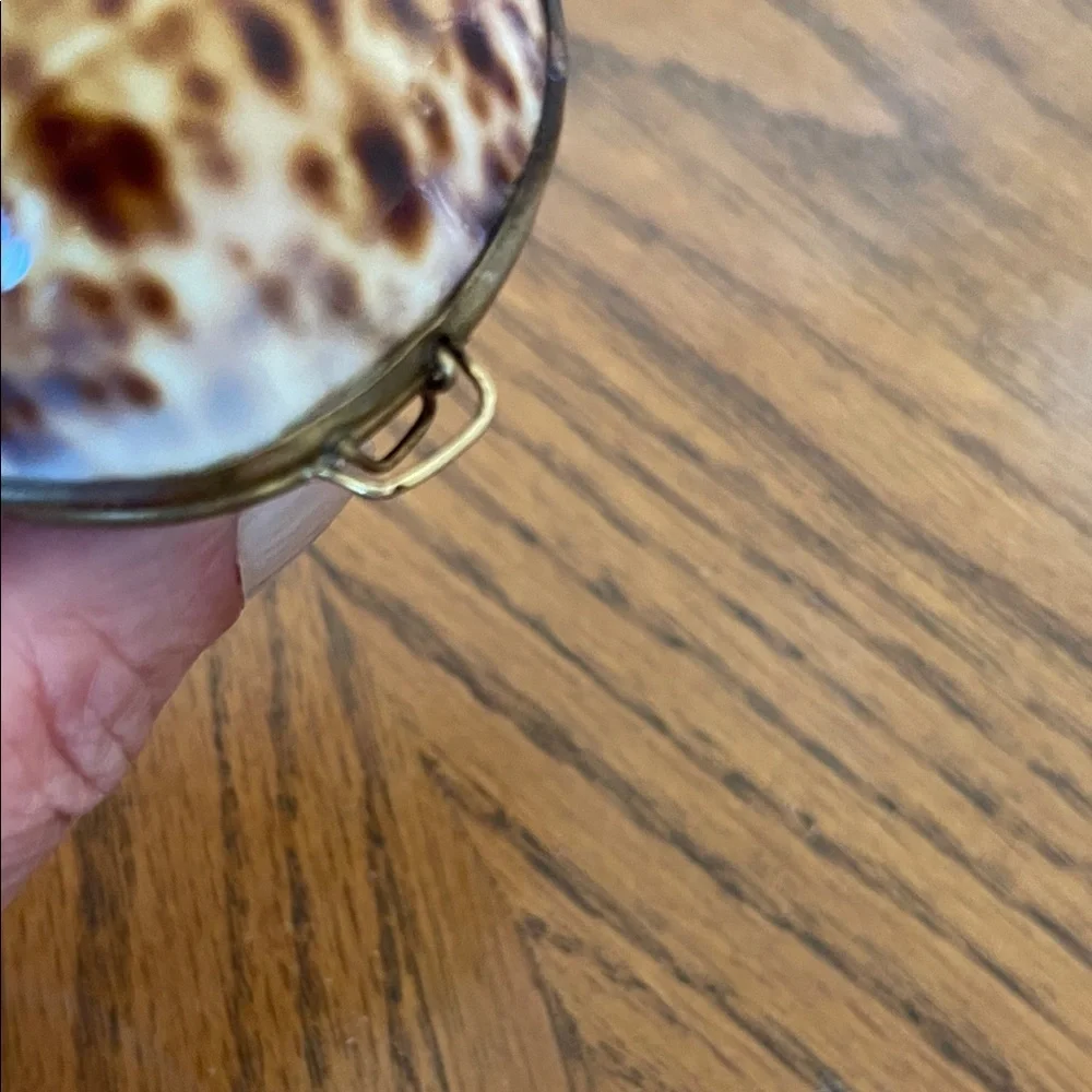 Polished Speckled Shell Trinket Box